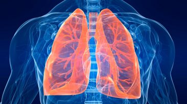 Пранаяма: что нужно знать о дыхательной системе